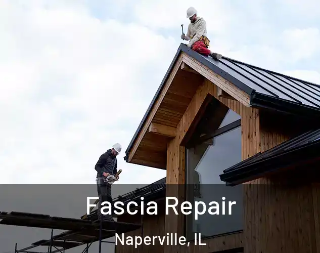  Fascia Repair Naperville, IL