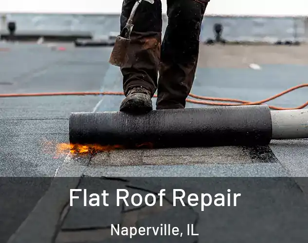  Flat Roof Repair Naperville, IL