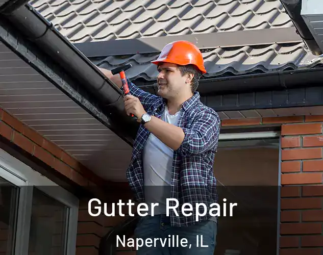  Gutter Repair Naperville, IL