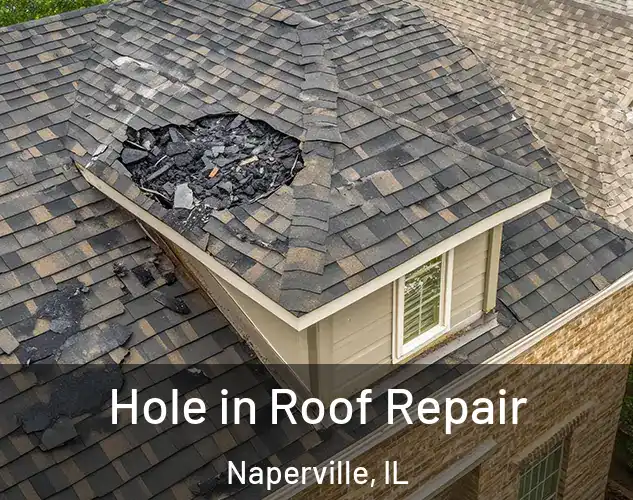  Hole in Roof Repair Naperville, IL