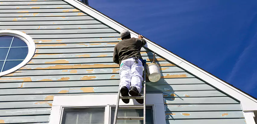 Professional Roof and Siding Repair Services in Naperville, IL
