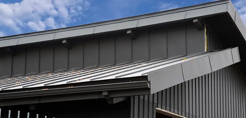 Professional Roof Eaves Installation Services in Naperville, IL