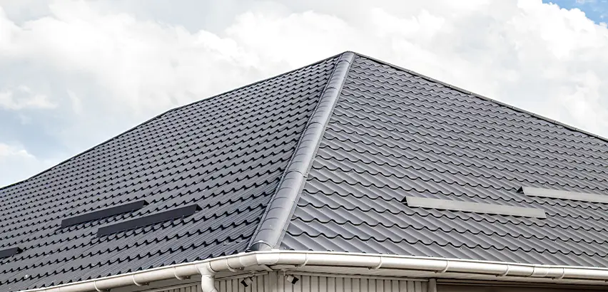 Roof Gully Repair in Naperville