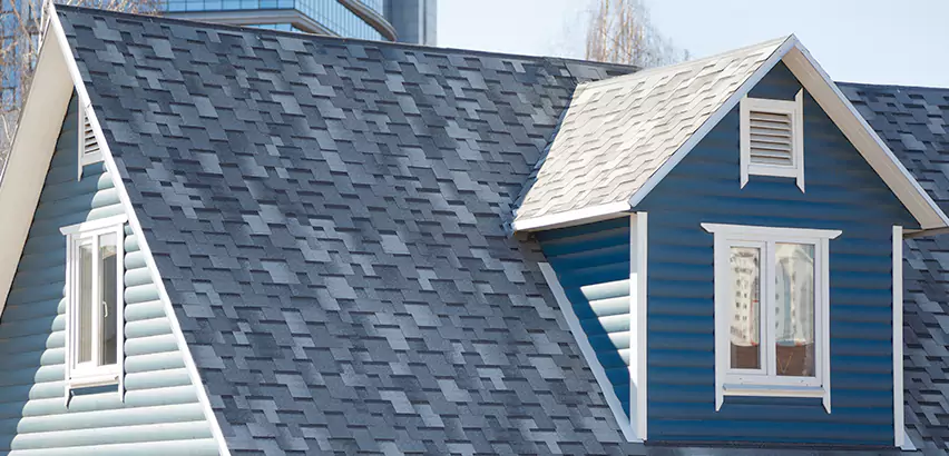 Shingle Roof Maintenance in Naperville