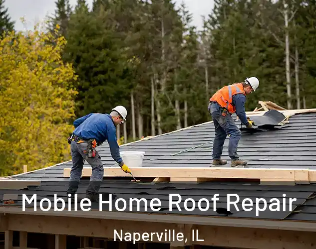  Mobile Home Roof Repair Naperville, IL