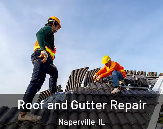 Roof and Gutter Repair Naperville, IL