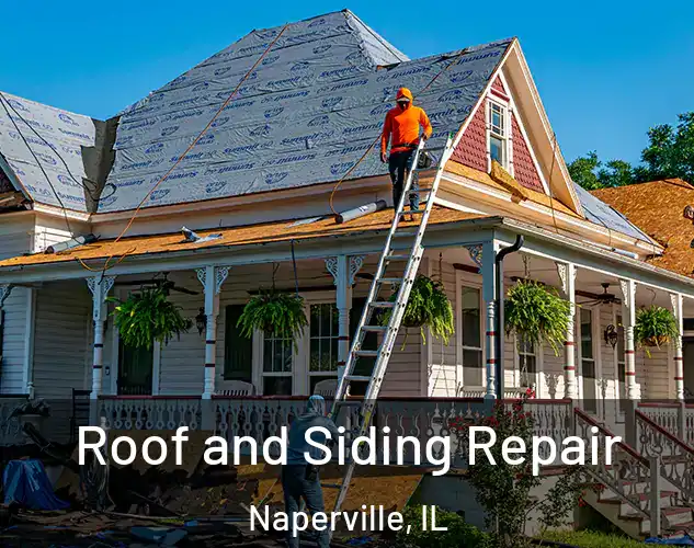  Roof and Siding Repair Naperville, IL
