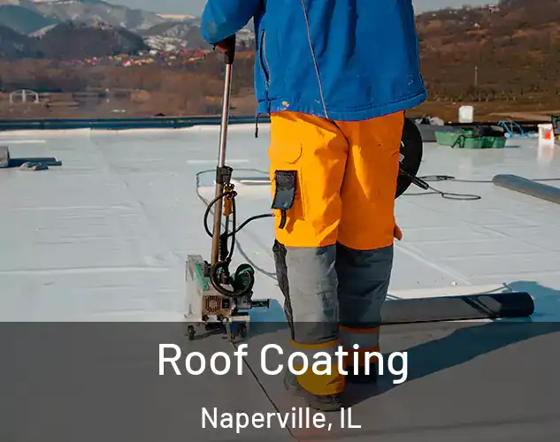  Roof Coating Naperville, IL