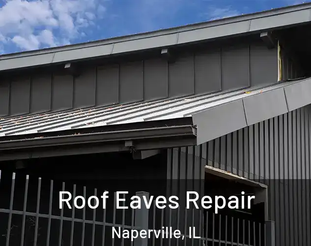  Roof Eaves Repair Naperville, IL