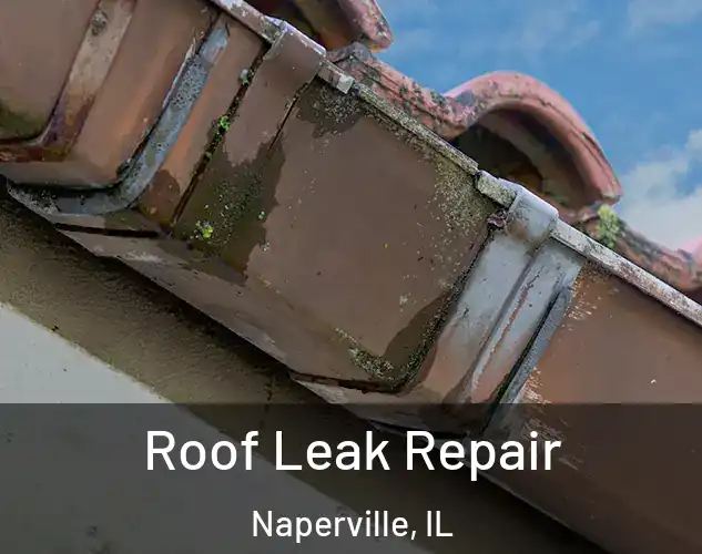  Roof Leak Repair Naperville, IL