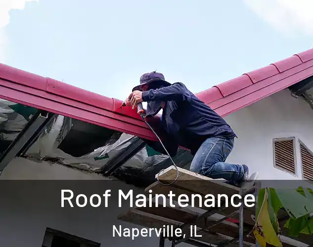  Roof Maintenance Naperville, IL