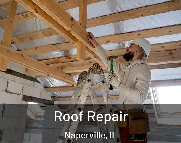  Roof Repair Naperville, IL