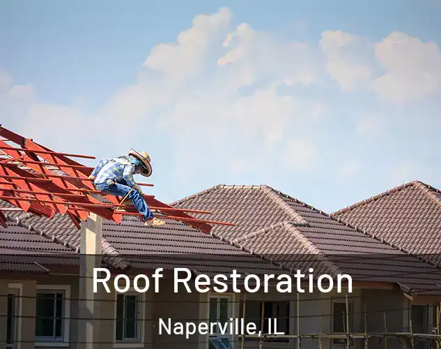  Roof Restoration Naperville, IL