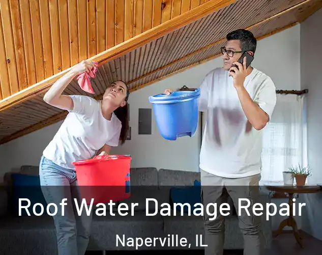  Roof Water Damage Repair Naperville, IL
