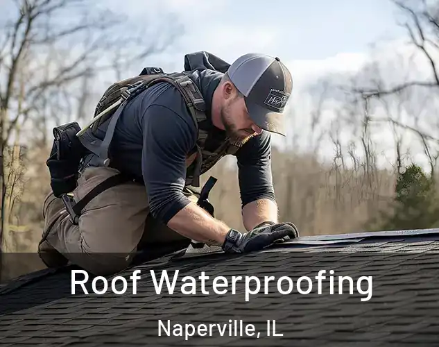  Roof Waterproofing Naperville, IL