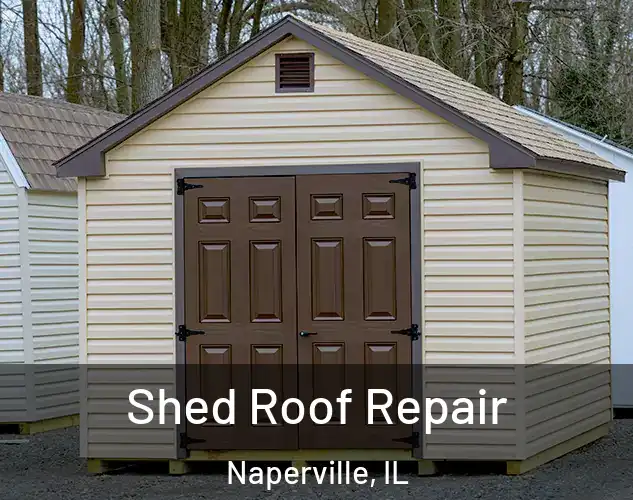  Shed Roof Repair Naperville, IL