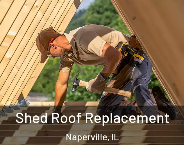  Shed Roof Replacement Naperville, IL