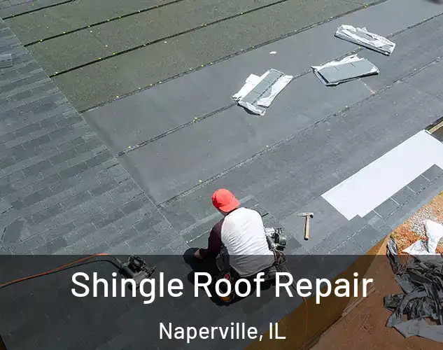  Shingle Roof Repair Naperville, IL