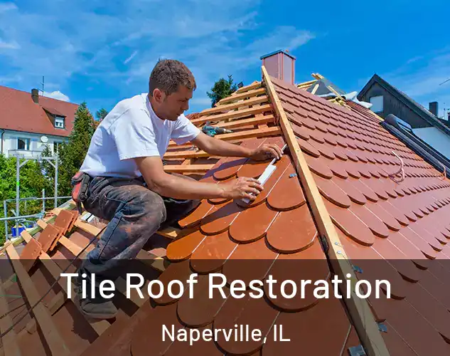 Tile Roof Restoration Naperville, IL